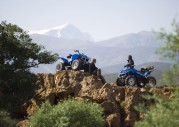 Yamaha Wolverine 350 Yamaha Wolverine 350